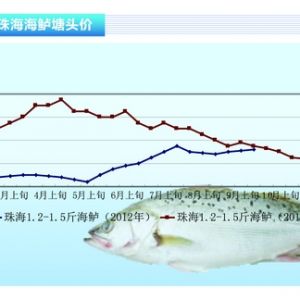 ���|���f�~�������� ���~�������r������ˮ�aǰ�ء�2012��10�¿��Ј�څ��