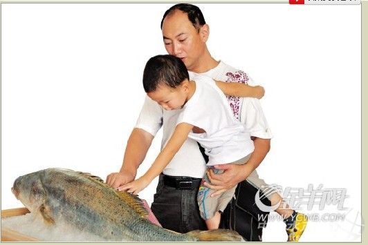 11.8�|Ԫ�����T�׽����|�@ʷ�����ُ�Nӆ��