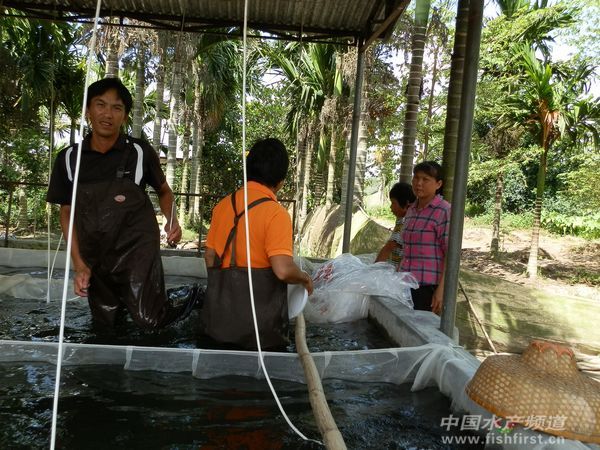 �_�������������������