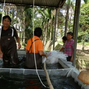 �_�����磬�����������