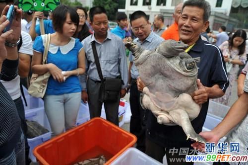 2012�������ޱ���ȫ�����M�u�ȴ�ِ���ό��e��