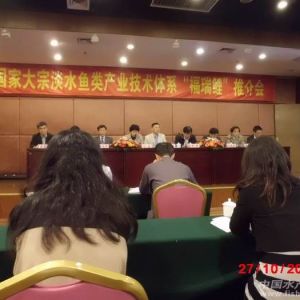 ��Ʒ�N�������ƏV�Bֳ��e�_33�f��