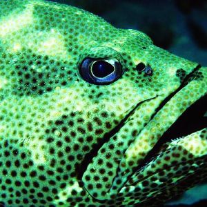 �۽�ʯ���~ ��ʯ���~�a�I�lչ���D�ġ�