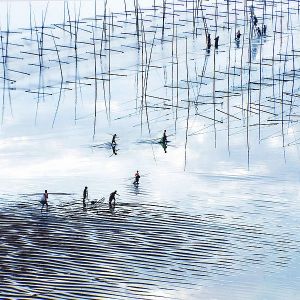 ϼ�֡��Ї��ϲ�֮�l[�D��ˮ�a]