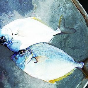 �����Bֳ����ζ���~������~