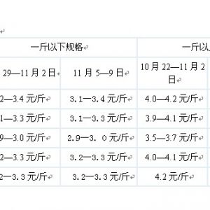 2012��11��5--9���_���~�܈�