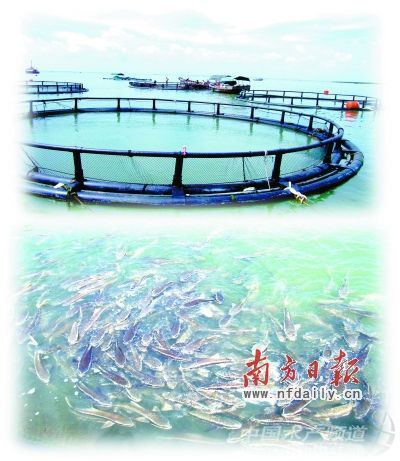 �V�|�������a(ch��n)��ֵ��ռȫ���������a(ch��n)��ֵ��21%��