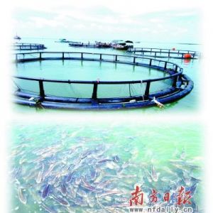 �V�|���󽛝��^�m�I�� ����Ⱦˮ��p����