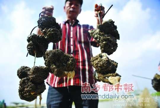 ˮ�әz�y���������T����ϖ���֡��������l��