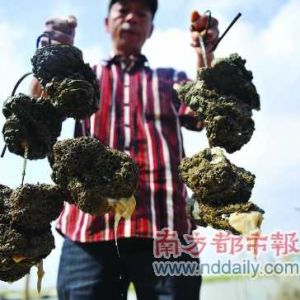 ˮ�әz�y���������T����ϖ���֡��������l��