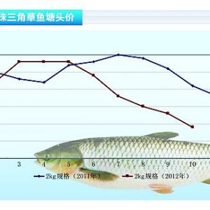 ���~���~�r�ٵ� �B(y��ng)ֳ���p���B(y��ng)ֳ�ܶ�