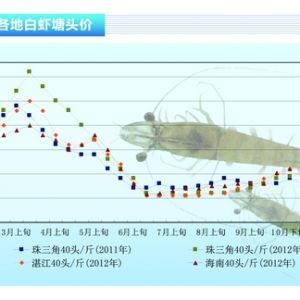 ���r�������r����߷� �r�r�ԝq������ˮ�a(ch��n)ǰ�ء�2012��12�¿��Ј�څ��