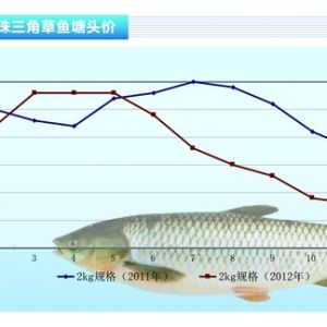 ���~���~�r���m(x��)���ԡ�����ˮ�a(ch��n)ǰ�ء�2012��12�¿��Ј�څ��