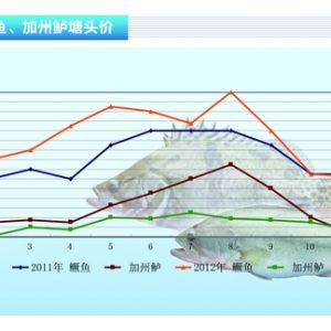 �Z�~���r������y���񡪡���ˮ�aǰ�ء�2012��12�¿��Ј�څ��