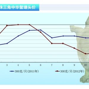 ���~�����҃r�񷀶� ����С������������ˮ�aǰ�ء�2012��12�¿��Ј�څ��