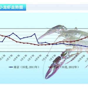 С���r�����ּ��N�� ���كr��������ˮ�aǰ�ء�2012��12�¿��Ј�څ��