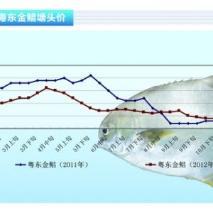 ���K���ɽ����� �r���o������������ˮ�aǰ�ء�2012��12�¿��Ј�څ��