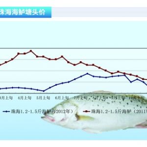 ���|�����Ƴɱ��r ��ϻؿ���޴󡪡���ˮ�aǰ�ء�2012��12�¿��Ј�څ��