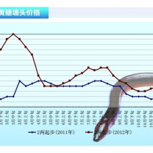 �S�X�����~�������� Խ���~���B�����ӡ�����ˮ�aǰ�ء�2012��12�¿��Ј�څ��