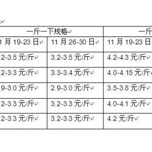 2012��11��26-30���_���~�܈�