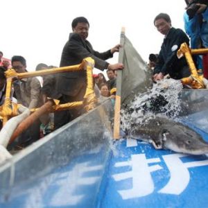 ���A�\�˹���ֳ���g�wϵ���� �@�ܾ���21�f��