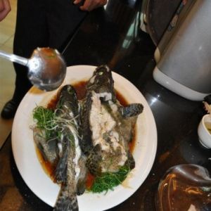 ʯ���~���M�е��Ը���Ļ����D��