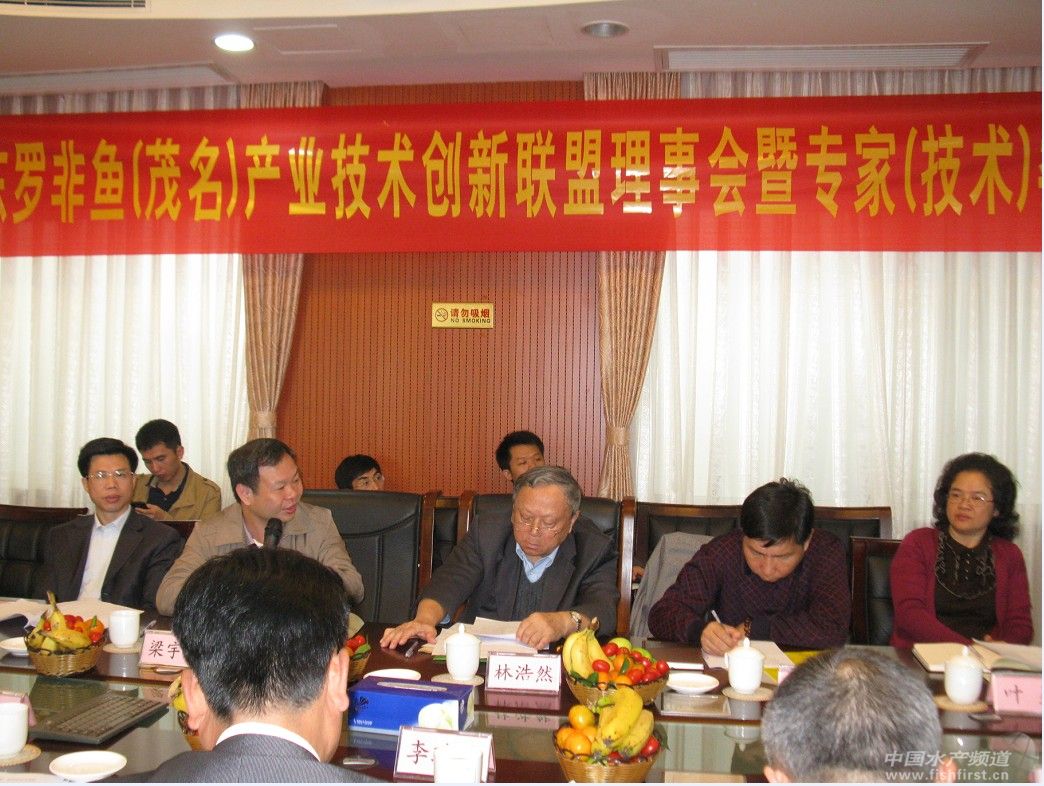 ï���_�Ǯa�I���g���������_�׌�����