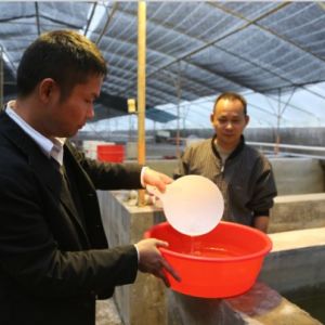 ��ɽ�����ԇˮ���r�Bֳ��ģʽ