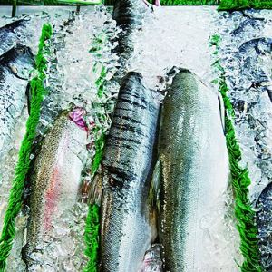 �H�R�ظ��A���a