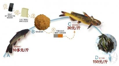 �S����Ⱦ�S�����ʾ��D���ƈD���˳�