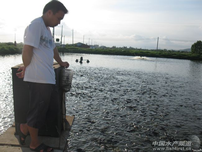 ���Ϻ����Ʊ�