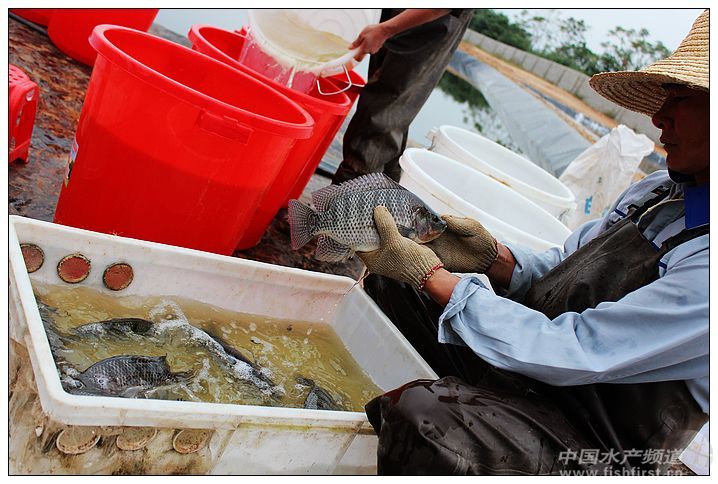 2012���_������֮׃