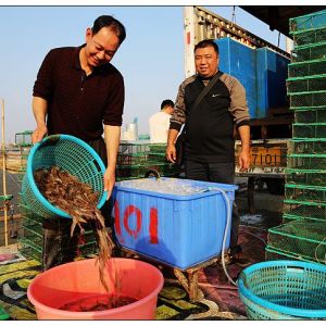 �V�|��ɽԽ�����r�r���j��