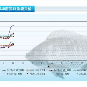 2013��1��28-2��1���_���~�܈�