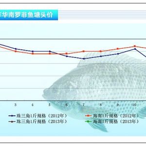 �_���~�������~�p�� �r��ƽ��������ˮ�aǰ�ء�2013��2�¿��Ј�څ��