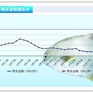 ���K�������ٜp �r��u�q������ˮ�aǰ�ء�2013��2�¿��Ј�څ��