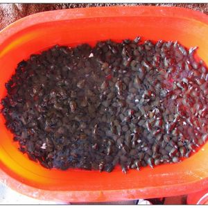 ���M�a�I40��  �L�L����ǰ����