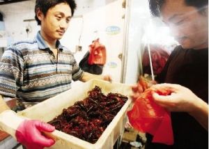 �������Y2�|��QС���r�����y�}