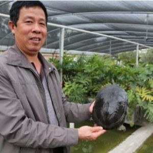 �Bֳ�V�|�������X�����V�