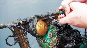 ˮ�a���W����δ�������Bֳ�ܼ�