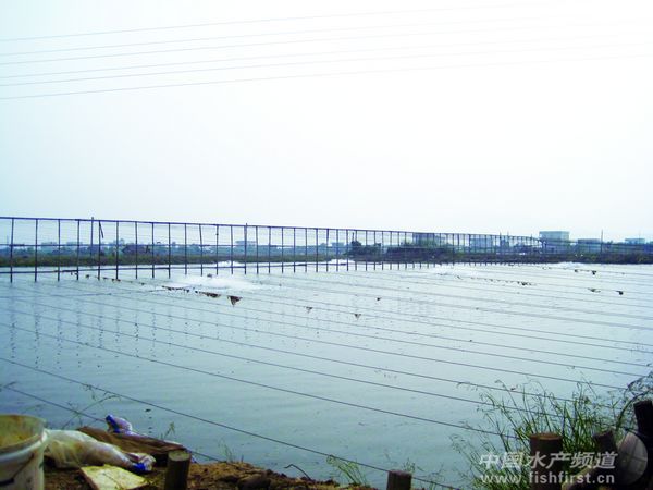 ������ʲ�����������|��������ˮ����