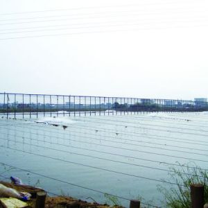 ������ʲ�����������|��������ˮ����