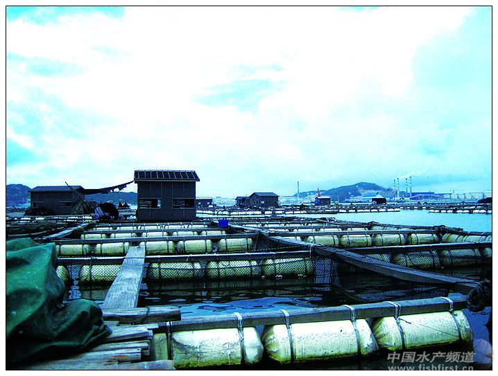 ������ʲ�������б����������