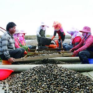 ��a6�f�����Bֳؐ�-�ĸ�(��)