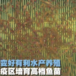 �R�����������߅^�����ߙn�~��