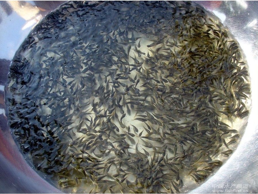 �_�ǳ��~�r�q�������N���_������