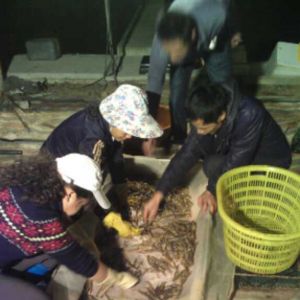 �����ձ����r�r�񱩵�50%������40Ԫ/��