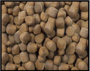 ��ϝq�r�L�����u