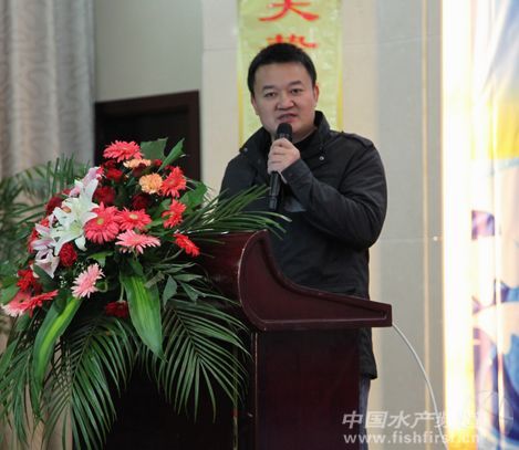 �T���AՄ�������A�|