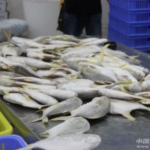 ���K�r��u�q���ӹ��S���ٰ��k�N��